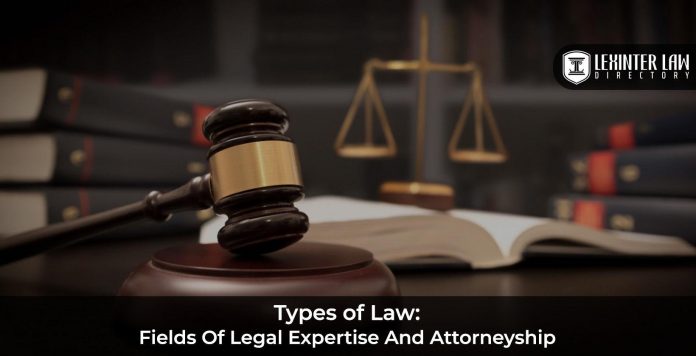 How Legal Expertise Defends Against Unconstitutional Acts