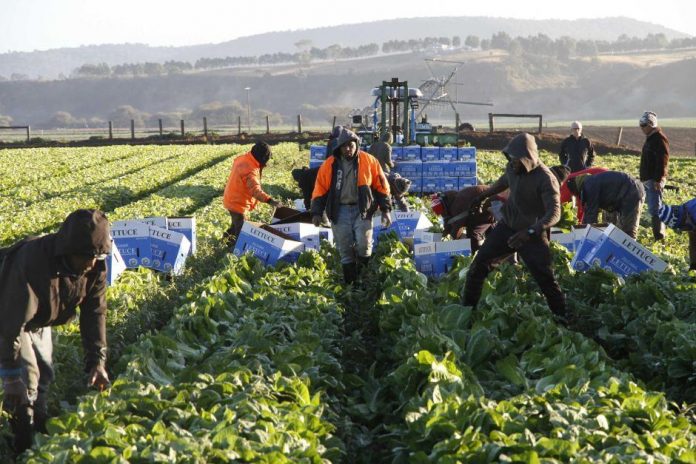 How Labour Law Protects Seasonal and Part-Time Workers