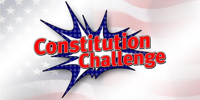 How Our Firm Handles Challenges to the Constitutionality of Laws