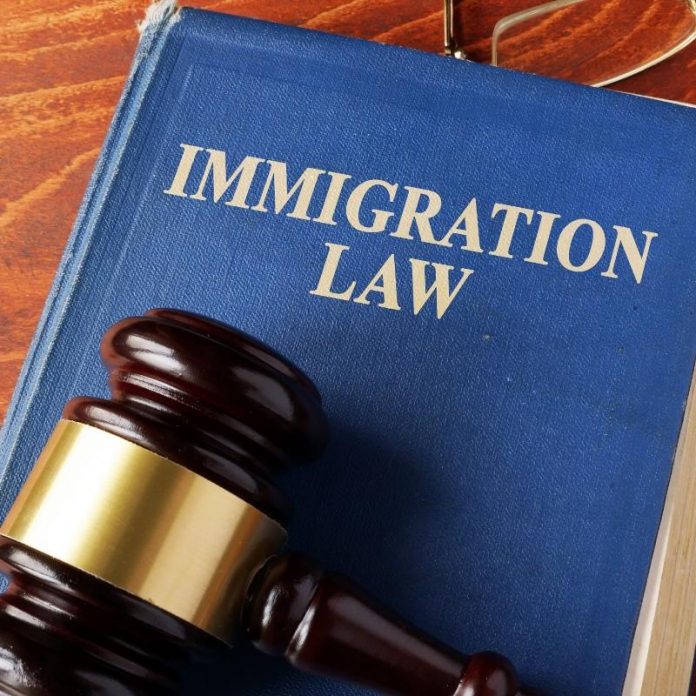 The Benefits of Hiring Our Law Firm for Immigration Cases