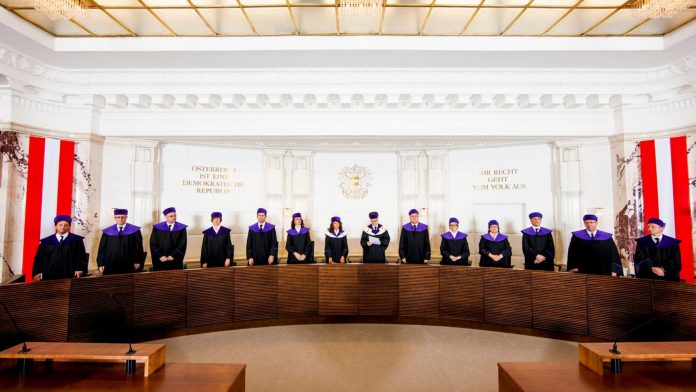 How Our Firm Represents Clients in Constitutional Tribunals