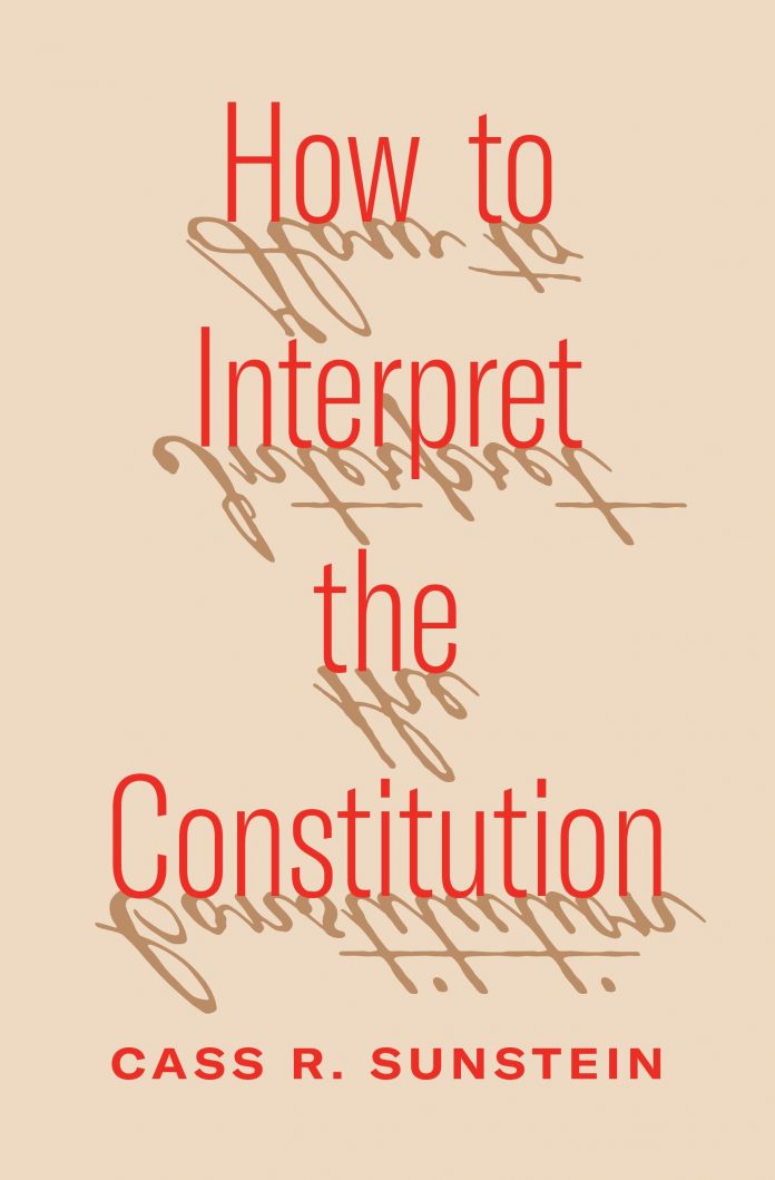 How Our Firm Assists in Constitutional Interpretation Cases