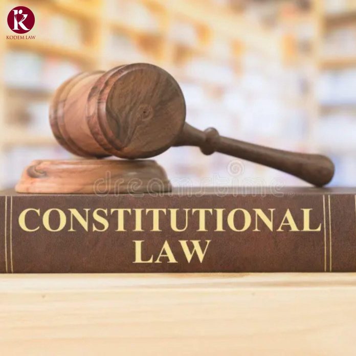 How Our Firm Advocates for Justice in Constitutional Cases
